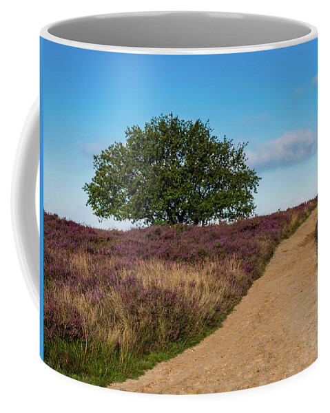 Heather Coffee Mug featuring the photograph Path through blooming heather at sunrise, by Tosca Weijers
