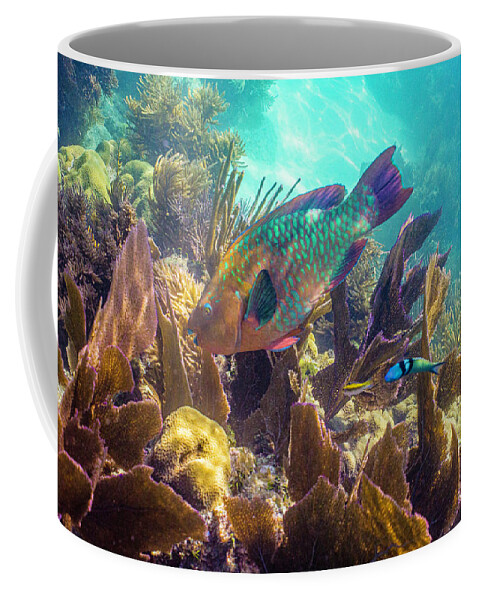 Animals Coffee Mug featuring the photograph Path to Atlantis by Lynne Browne