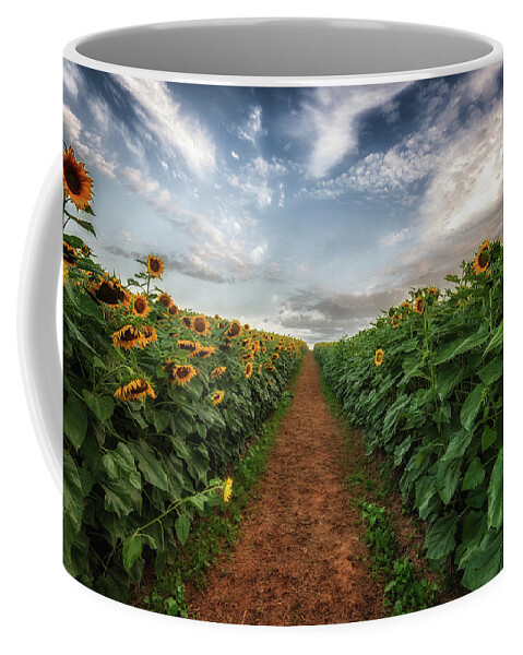 Sunflower Field Coffee Mug featuring the photograph Pathway to Heaven by Tricia Louque