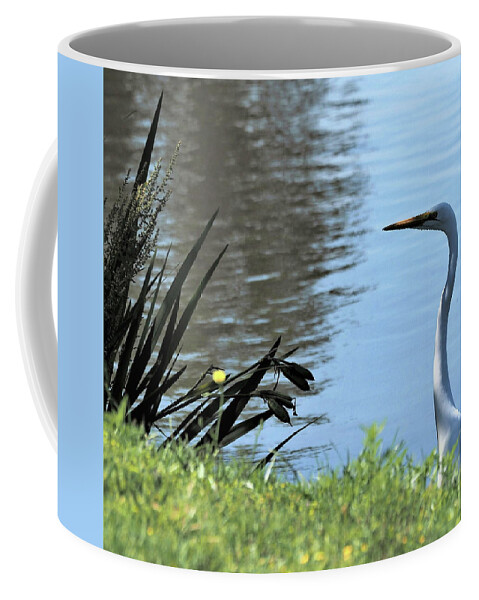 White Coffee Mug featuring the photograph Patience 5 by C Winslow Shafer