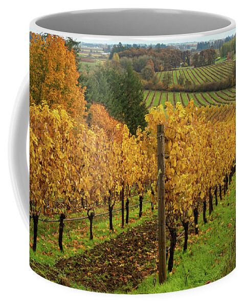 Vineyard Coffee Mug featuring the photograph Patterns of Fall in the Vineyard by Leslie Struxness