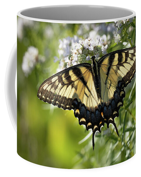 Butterflies Coffee Mug featuring the digital art Patterns on Display by Paulette Marzahl