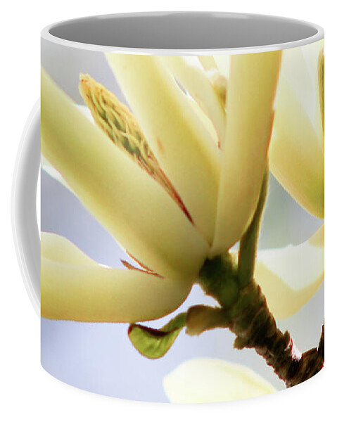 Nature Coffee Mug featuring the photograph Peace by Ash Nirale