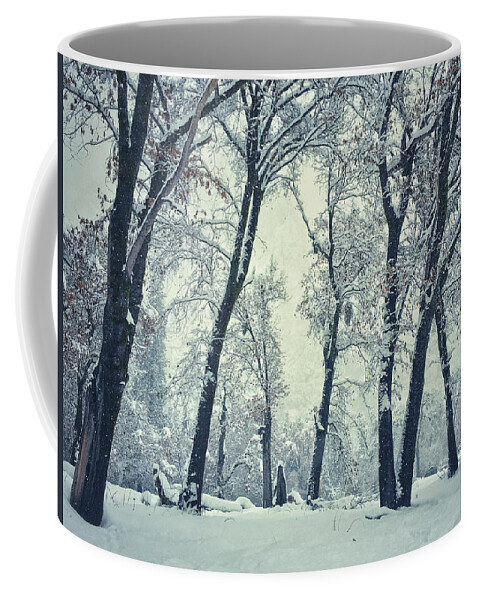 Winter Coffee Mug featuring the photograph Peace by Jonathan Nguyen