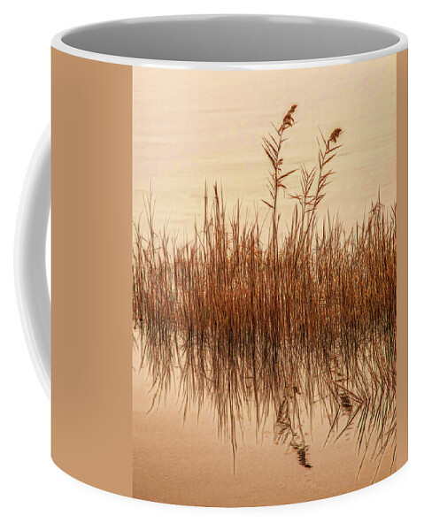 Swamp Coffee Mug featuring the photograph Peaceful Morning At The Estuary by Gary Slawsky