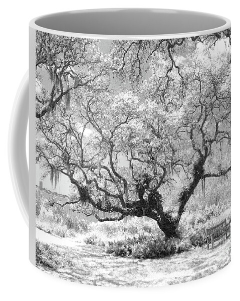Landscape Coffee Mug featuring the photograph Peaceful Spot by Mariarosa Rockefeller