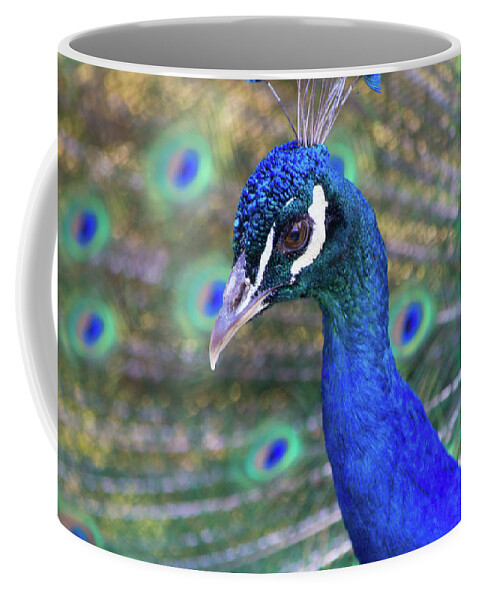 Peacock Coffee Mug featuring the photograph Peacock 2 by Deborah M