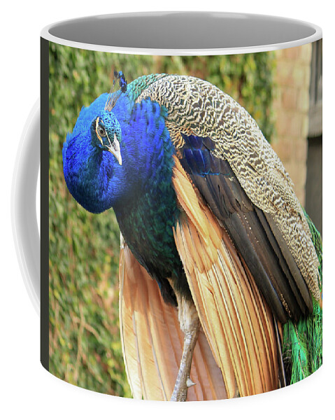Peacock Coffee Mug featuring the photograph Peacock 3 by Cindy Robinson