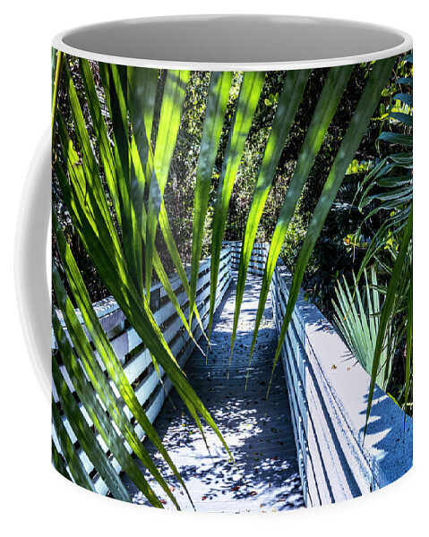 Plant Coffee Mug featuring the photograph Peeking Through The Palms by Blair Damson