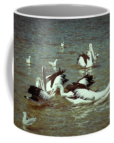 Pelican Coffee Mug featuring the photograph Pelican Feeding Frenzy by Elaine Teague