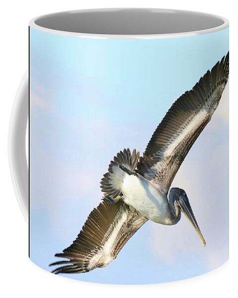 Pelicans Coffee Mug featuring the photograph Pelican in Flight 9 by Mingming Jiang