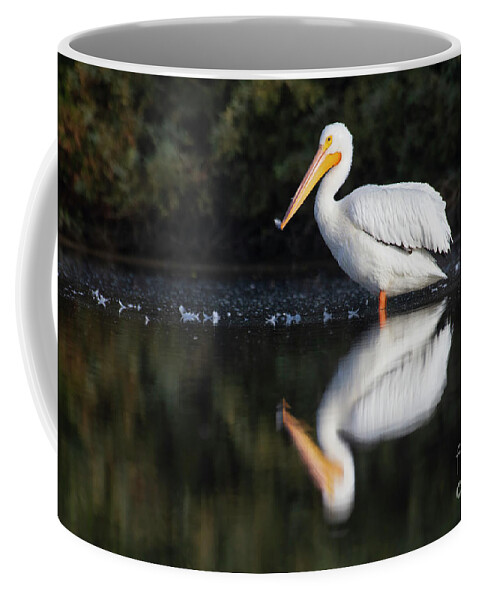 American White Pelican Coffee Mug featuring the photograph Pelican in the ponds by Ruth Jolly