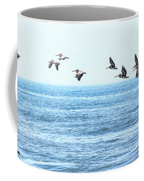 Pelican Coffee Mug featuring the photograph Pelican Pod by Tahmina Watson