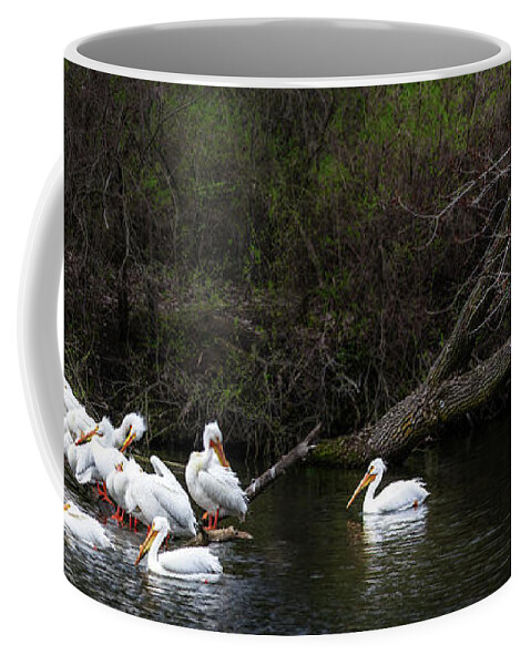 Pelicans Coffee Mug featuring the photograph Pelicans at Viking Park #4 of 7 - Stoughton Wisconsin by Peter Herman