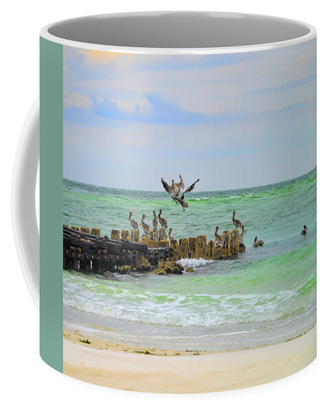 Pelicans Coffee Mug featuring the photograph Pelicans in Florida by Alison Belsan Horton