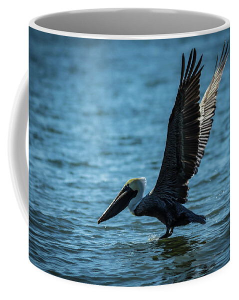 Pelicans Coffee Mug featuring the photograph Pelicans Landing by George Kenhan