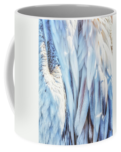 Plumage Coffee Mug featuring the photograph Pelican's Plumage by Belinda Greb
