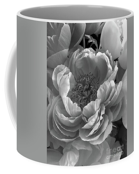 Dramatic Coffee Mug featuring the photograph Peonies Series B and W 1-3 by J Doyne Miller