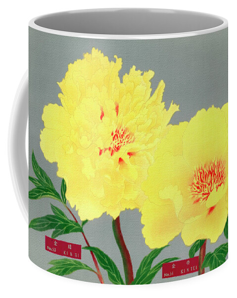 1939 Coffee Mug featuring the painting Peony blossom, yellow flower, vintage print from The Picture Boo by Tony Rubino