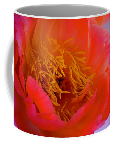 Peony Coffee Mug featuring the photograph Peony Blossoms in Spring 3 by Lindsay Thomson