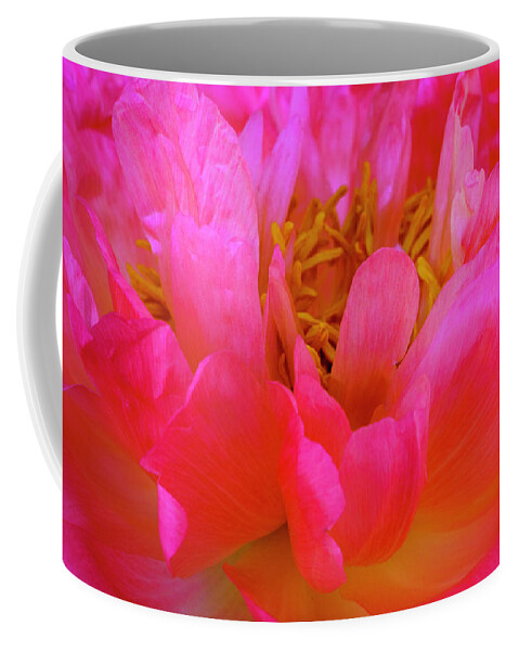 Peony Coffee Mug featuring the photograph Peony Blossoms in Spring 7 by Lindsay Thomson