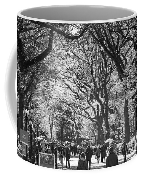 Photography Black And White Image Horizontal Central Park Mall Central Park Manhattan New York City New York State Usa North America Outdoors Day Large Group Of People People Men Women Adult Walking Motion On The Move Tree Autumn Season Leisure Activity Nature Scenics Tranquil Scene Tranquility Travel Destinations  Coffee Mug featuring the photograph People walking in a park, Central Park Mall, Central Park, Manhattan, New York City, New York State, by Panoramic Images
