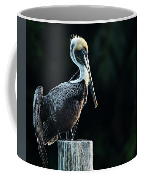Pelican Coffee Mug featuring the photograph Perched by Don Durfee