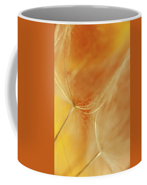 Dandelions Coffee Mug featuring the photograph Petals and Dandelions by Iris Greenwell