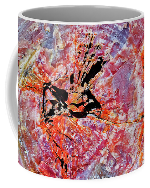Petrified Forest National Park Coffee Mug featuring the photograph Petrified Wood Giant Logs Trail by Kyle Hanson