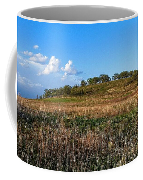 Middleton Coffee Mug featuring the photograph Pheasant Branch Conservancy 1, Middleton, WI by Steven Ralser