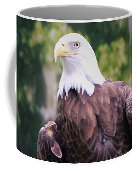 Eagle Coffee Mug featuring the photograph Photo 75 American Eagle by Lucie Dumas