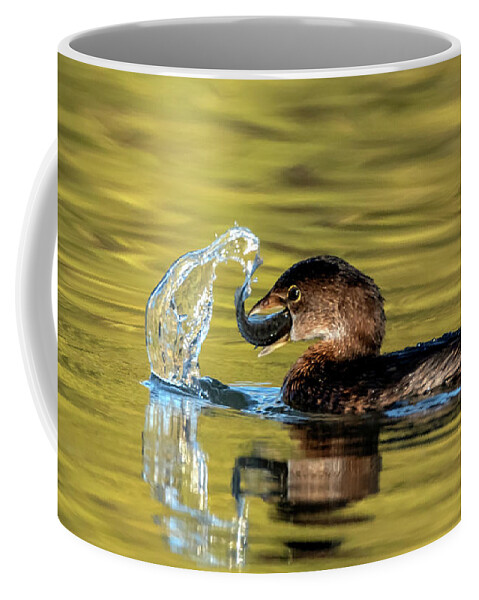 Pied-billed Grebe Coffee Mug featuring the photograph Pied-billed Grebe 7596-120720 by Tam Ryan