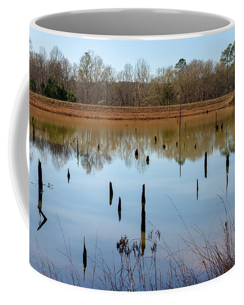 Piedmont National Wildlife Refuge Coffee Mug featuring the photograph Piedmont Refuge Stump Overdrive by Ed Williams