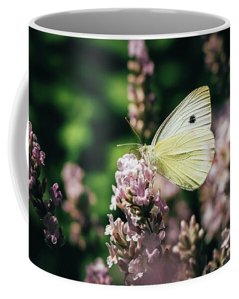 Creature Coffee Mug featuring the photograph Pieris rapae sits on pink flower by Vaclav Sonnek