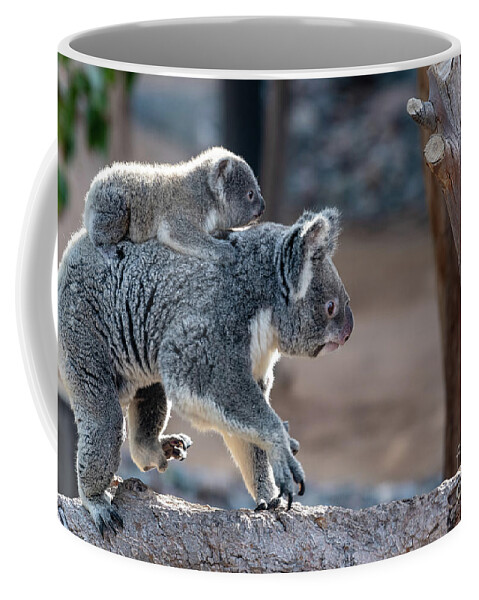 San Diego Zoo Coffee Mug featuring the photograph Piggy Back Rides by David Levin