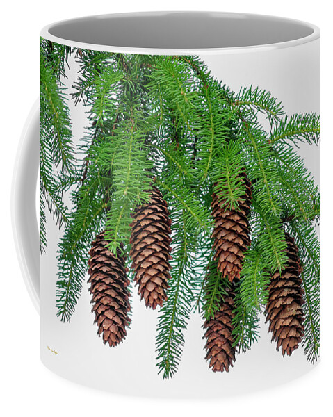 Pine Trees Coffee Mug featuring the photograph Pine Bough by Christina Rollo