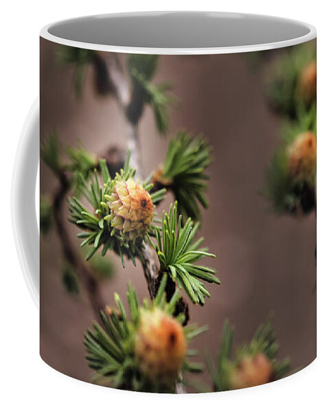 Tree Coffee Mug featuring the photograph Pine cones by M Fotograaf