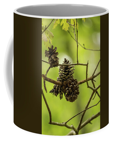 Cone Coffee Mug featuring the photograph Pine Cones by Rick Nelson