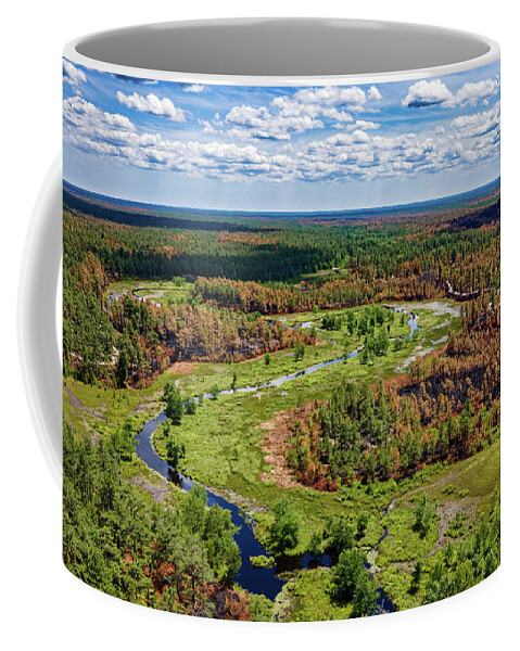 New Jersey Coffee Mug featuring the photograph Pinelands Burned Forest by Louis Dallara