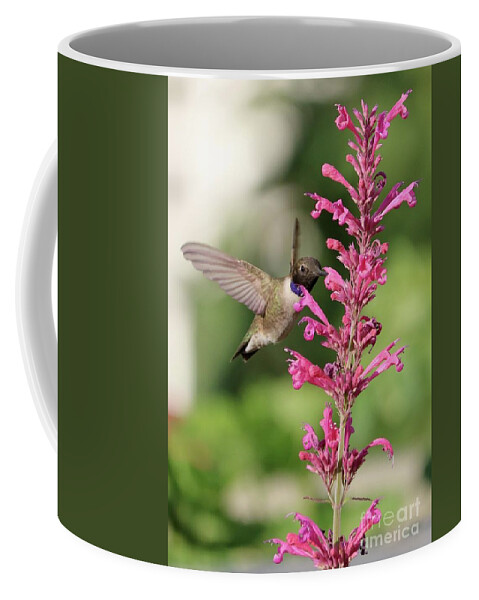 Hummingbird Coffee Mug featuring the photograph Pink Agastache Hummingbird by Carol Groenen