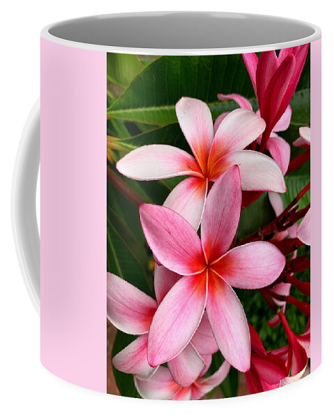 Plumeria Coffee Mug featuring the photograph Pink And Red Plumeria by Brian Eberly