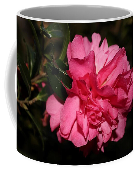 Camellia Coffee Mug featuring the photograph Camellia V by Mingming Jiang