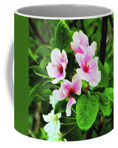 Cherry Blossoms Coffee Mug featuring the photograph Pink Cherry Blossoms by Rod Whyte
