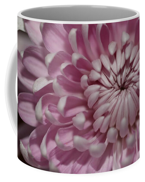 Chrysanthemum Coffee Mug featuring the photograph Pink Chrysanthemum by Mingming Jiang