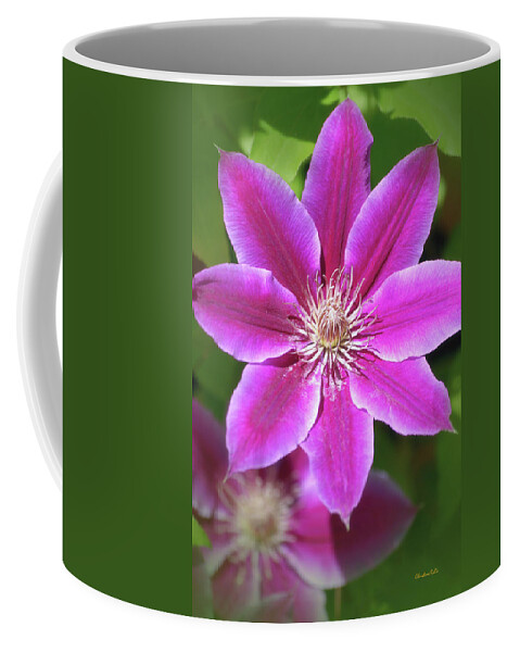 Flowers Coffee Mug featuring the photograph Pink Clematis Flower by Christina Rollo