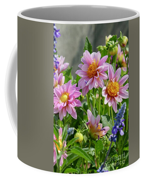 Dahlia Coffee Mug featuring the photograph Pink Dahlias and Purple Salvia by Carol Groenen