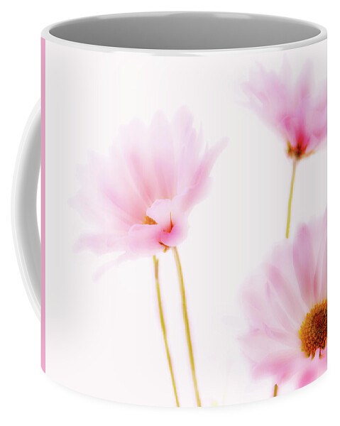 Flowers Coffee Mug featuring the photograph Pink Daisies by Virginia Folkman