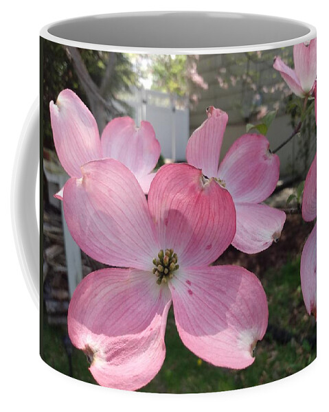 Pink Coffee Mug featuring the photograph Pink Dogwood Blossoms by Christopher Lotito