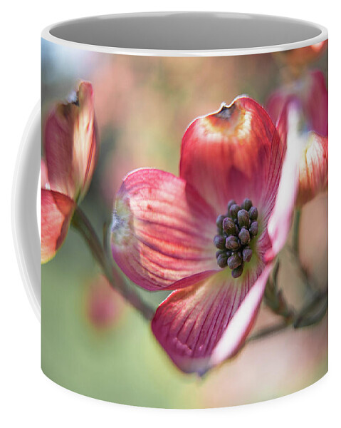 Pink Coffee Mug featuring the photograph Pink Dogwood by Denise Kopko