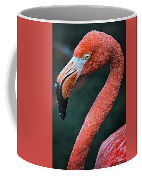 Bird Coffee Mug featuring the photograph Pink Flamingo by Rene Vasquez